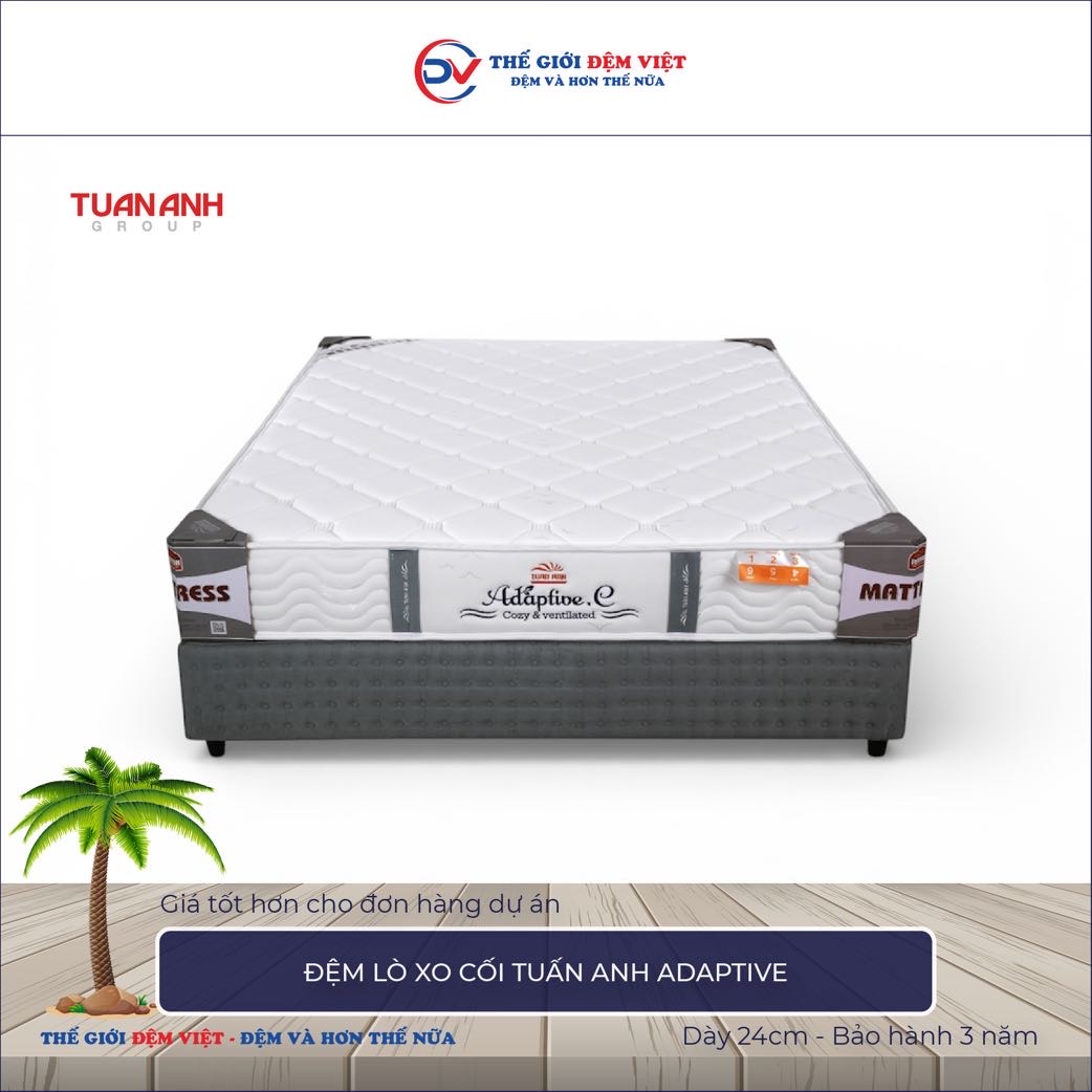 Đệm lò xo cối Tuấn Anh Adaptive
